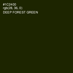 #1C2400 - Deep Forest Green Color Image